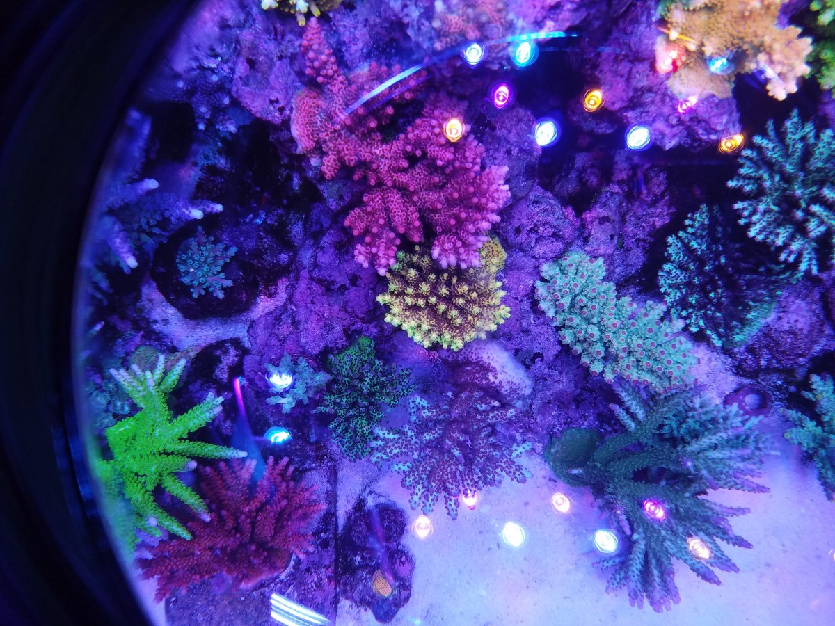 20190919_200615.jpg