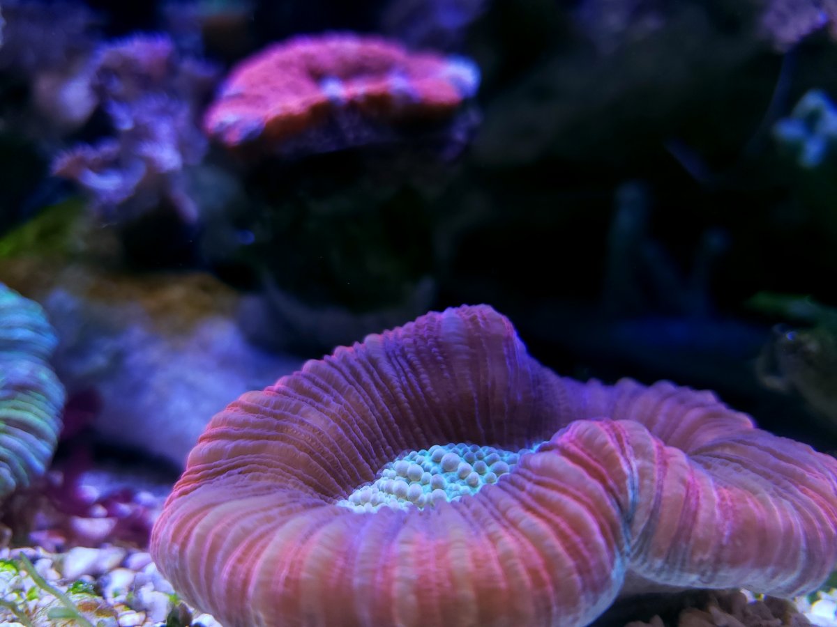 20190924_155133.jpg