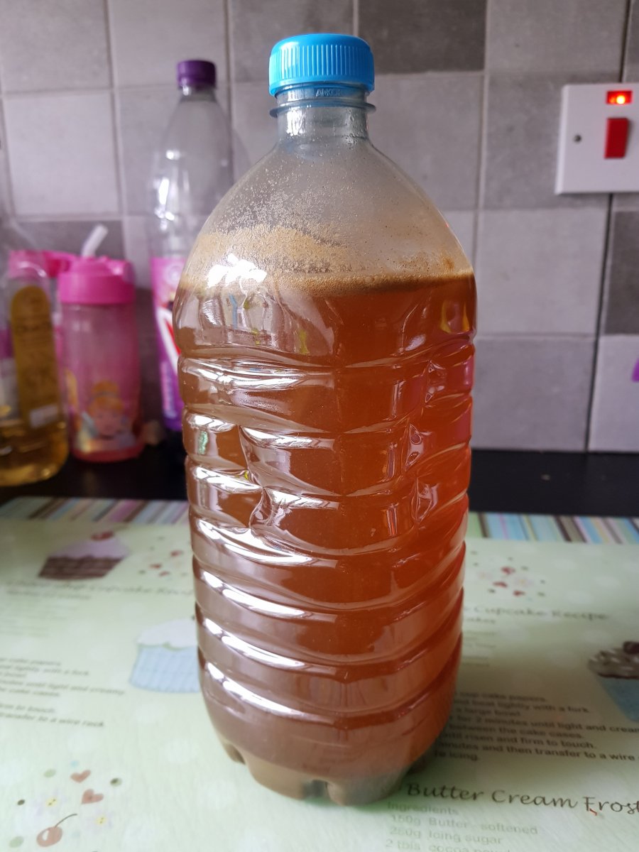 20191004_124159.jpg
