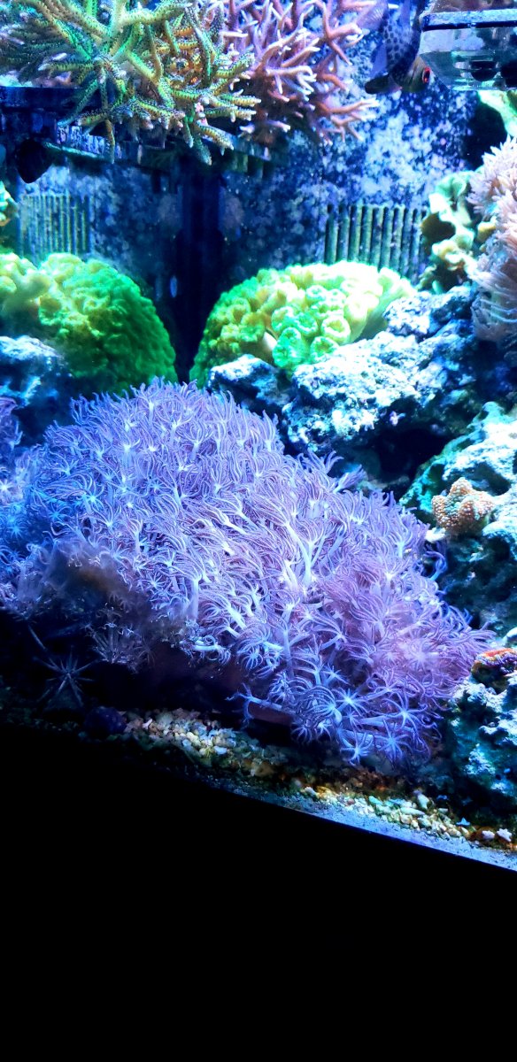 20191013_152136.jpg