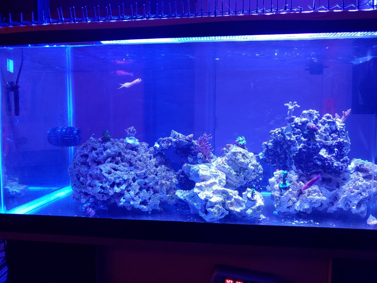20191014_204255.jpg