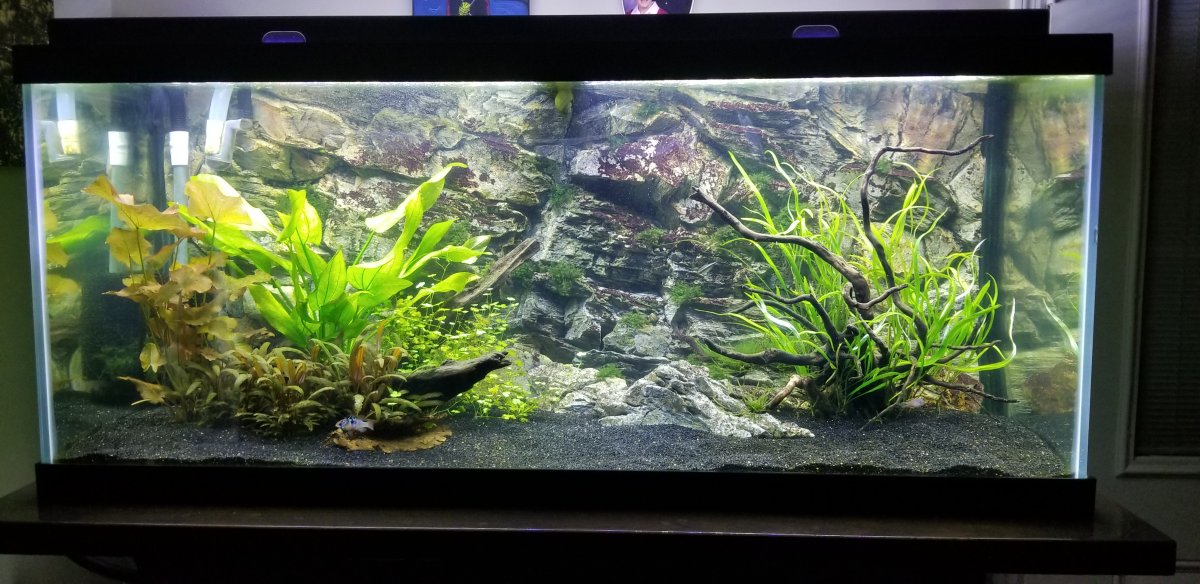 What is Something You Like in Regards to Fresh Water Tanks | Page 3 ...