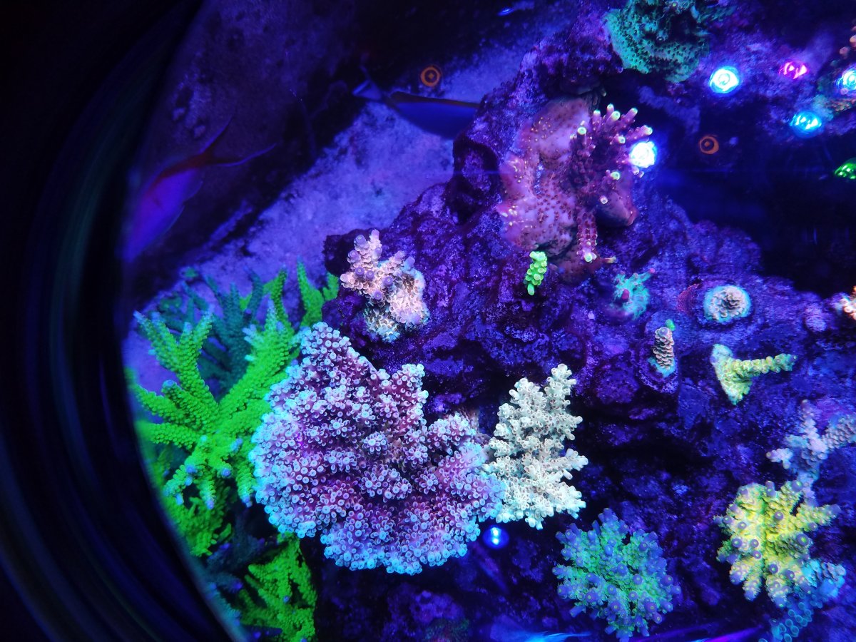 20191101_204841.jpg