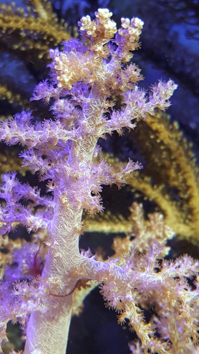 20191103_144751.jpg