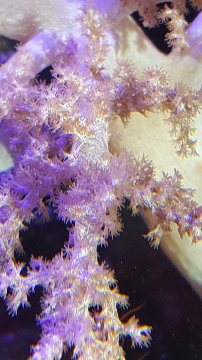 20191103_144845.jpg
