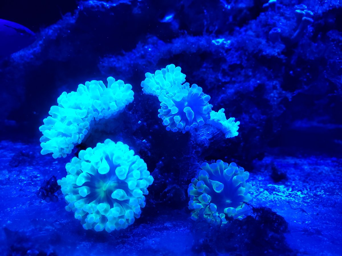 20191109_183458.jpg