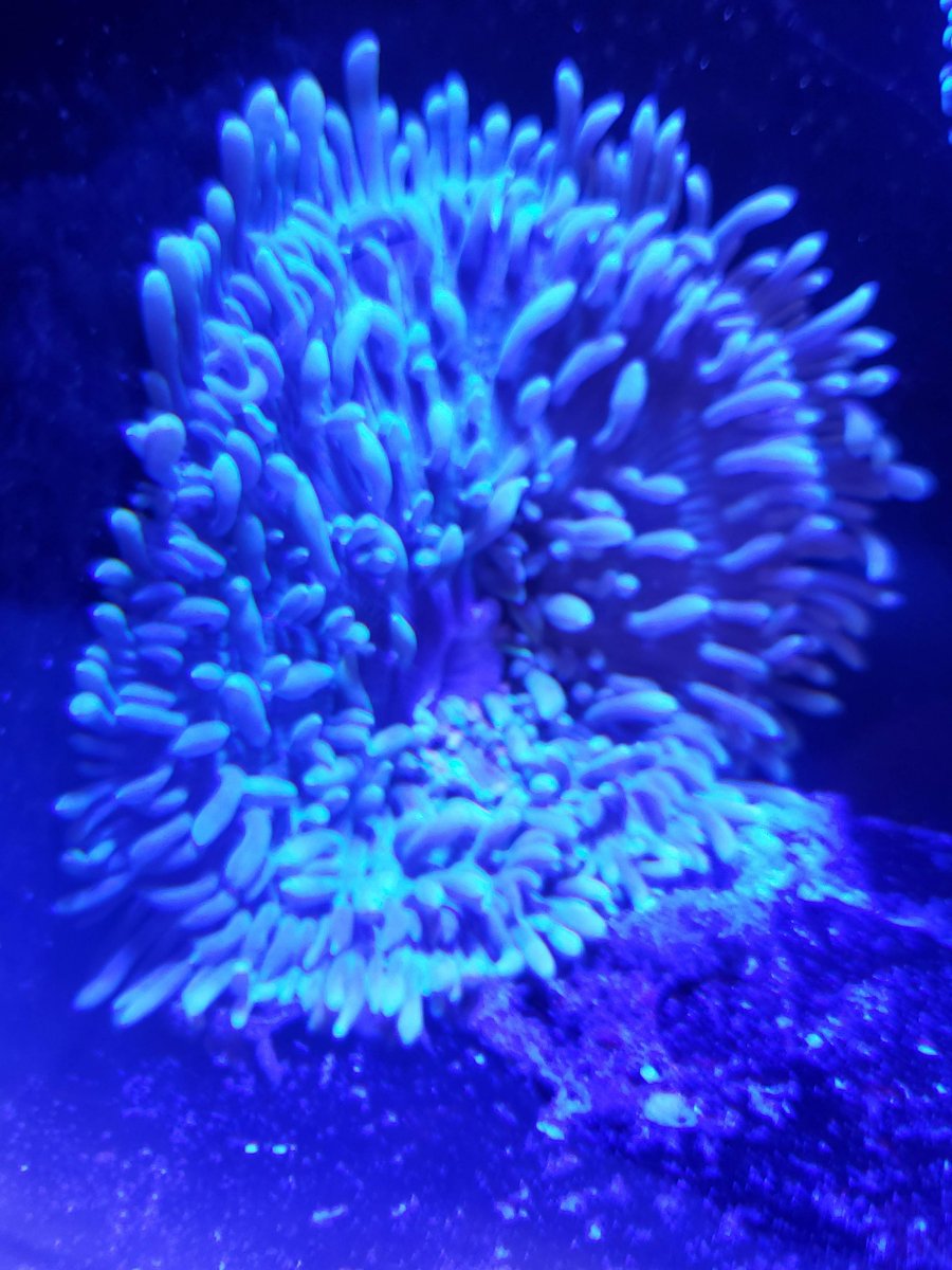 20191116_164433.jpg