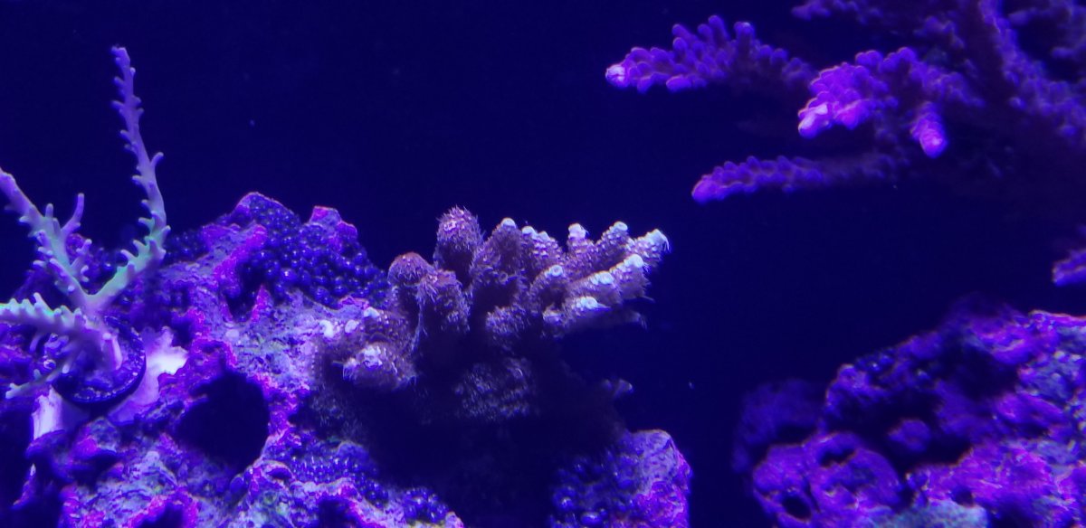 20191124_204700.jpg