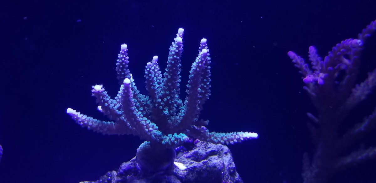 20191124_204845.jpg