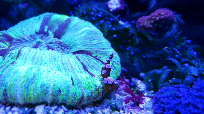 20191126_180534_1.gif