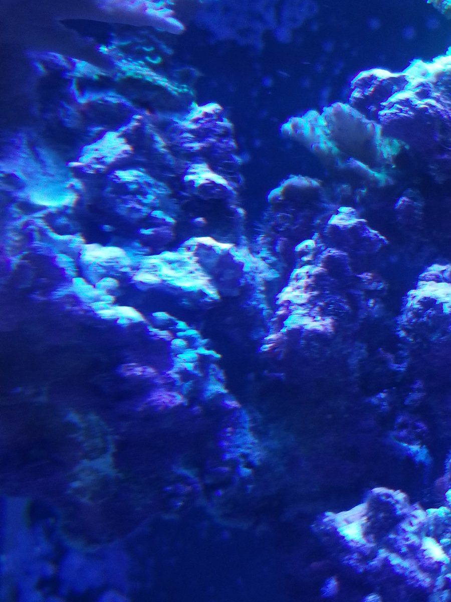 20191128_124239.jpg