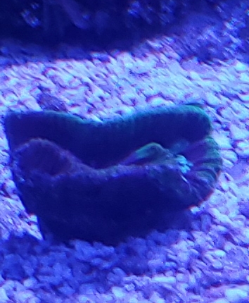 20191203_173545.jpg
