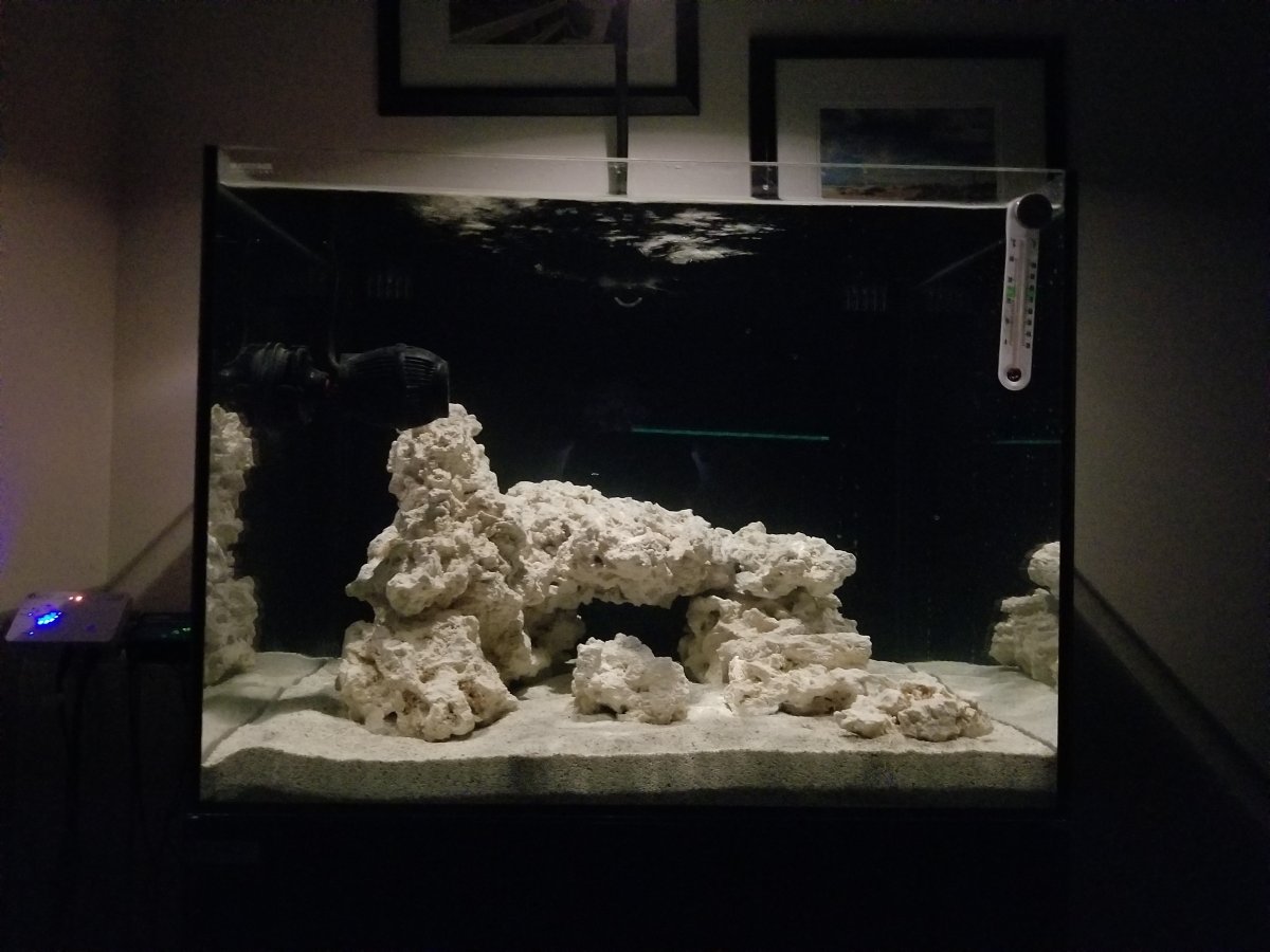 20191204_200743.jpg