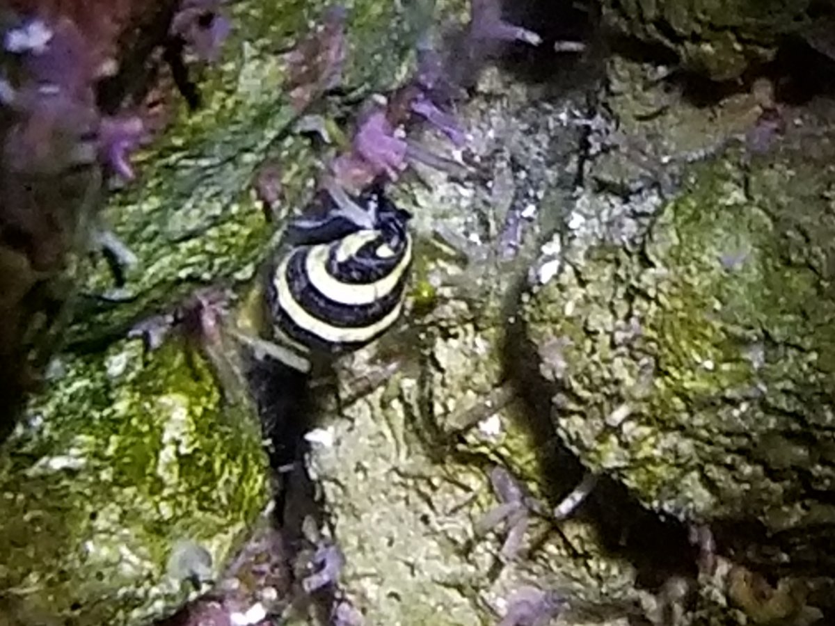 20191208_213734.jpg