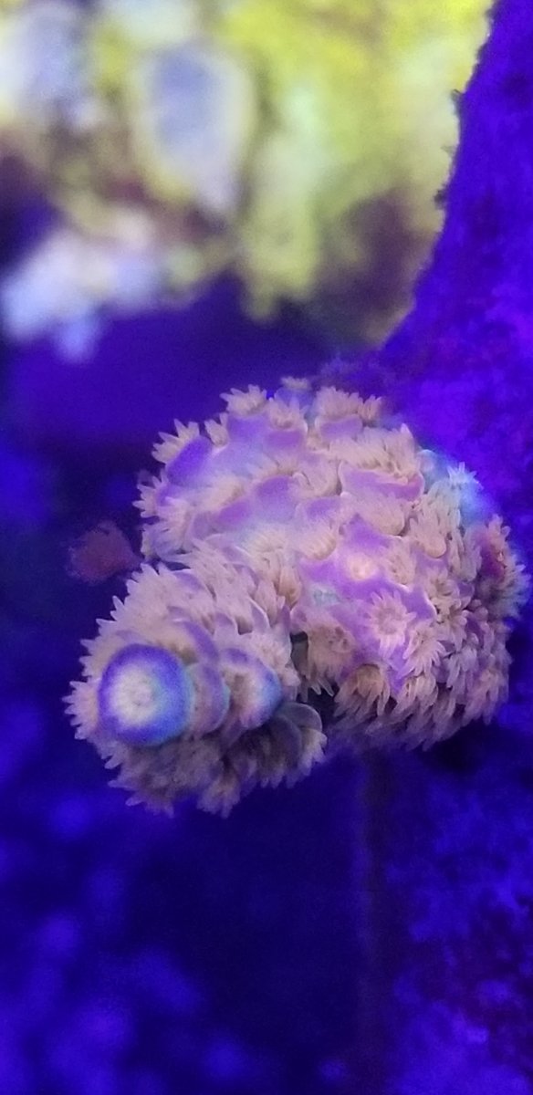 20191218_214518.jpg