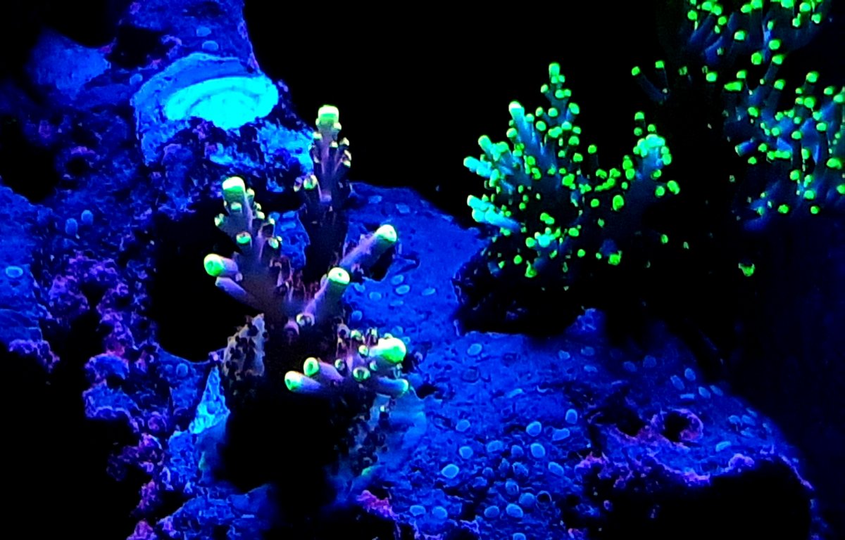 20200128_233227.jpg