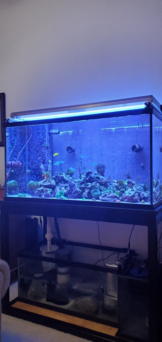 5ft aquarium 2025