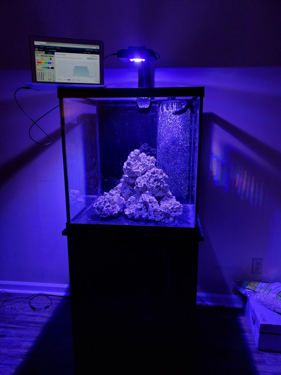 Build Thread - The 60 gallon cube I wanted  REEF2REEF Saltwater and Reef  Aquarium Forum