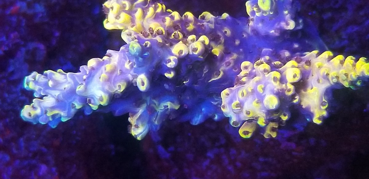 20200701_201545.jpg