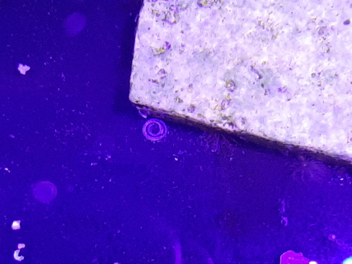 20200704_181629.jpg