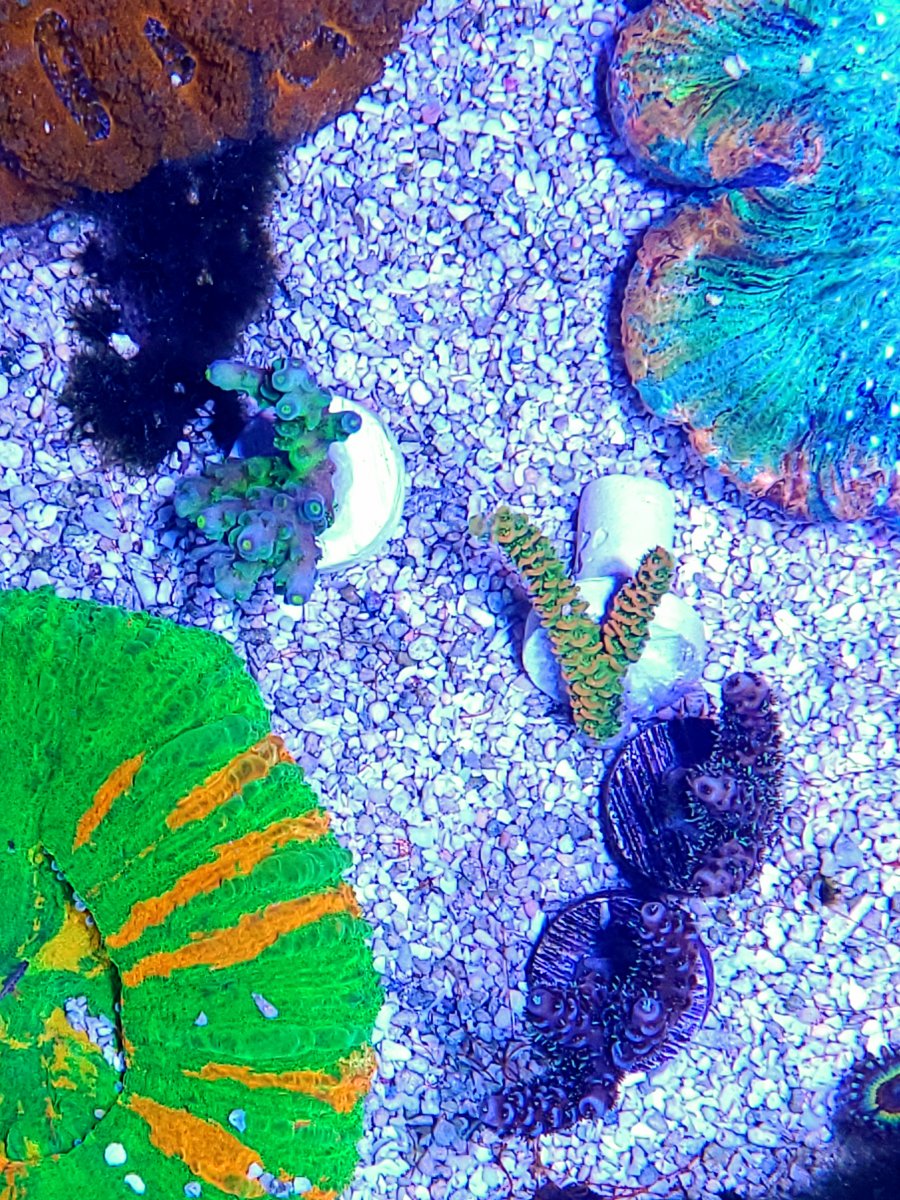 20200716_135247.jpg