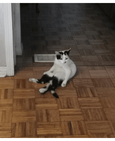 20200728_205244.gif