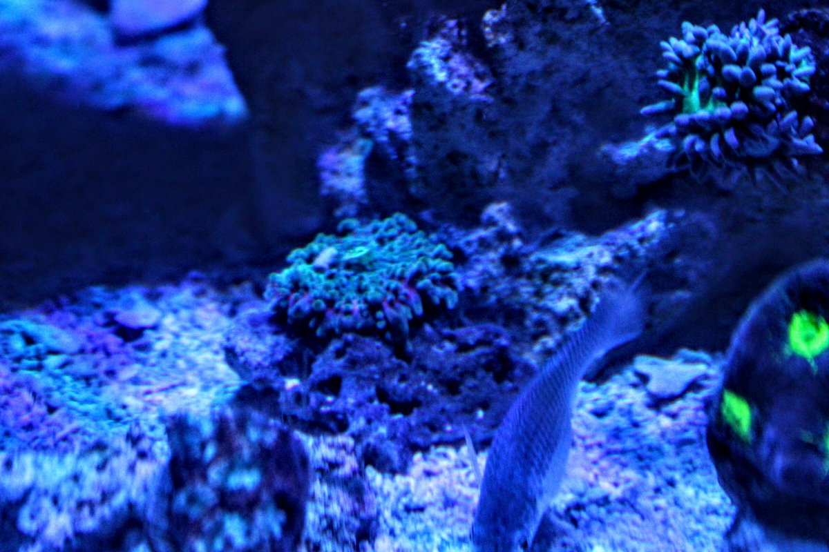 20200731_232639.jpg