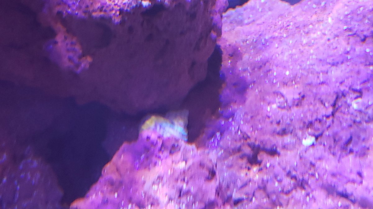 20200802_225321.jpg