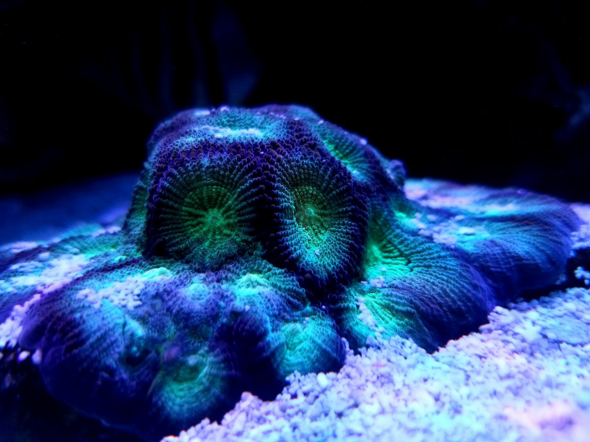 20200819_194123.jpg