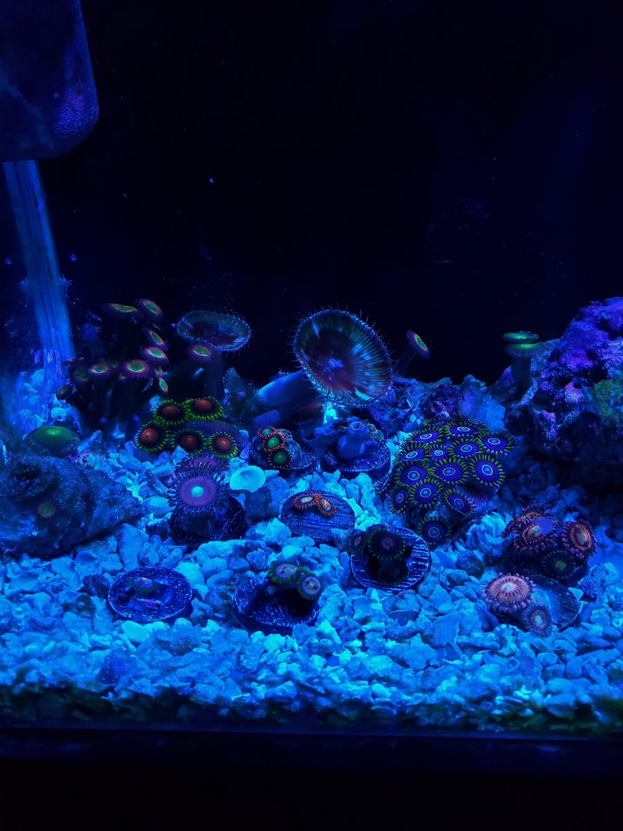 20200901_210942-01.jpeg