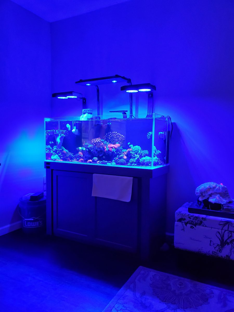 Nicrew led lights online