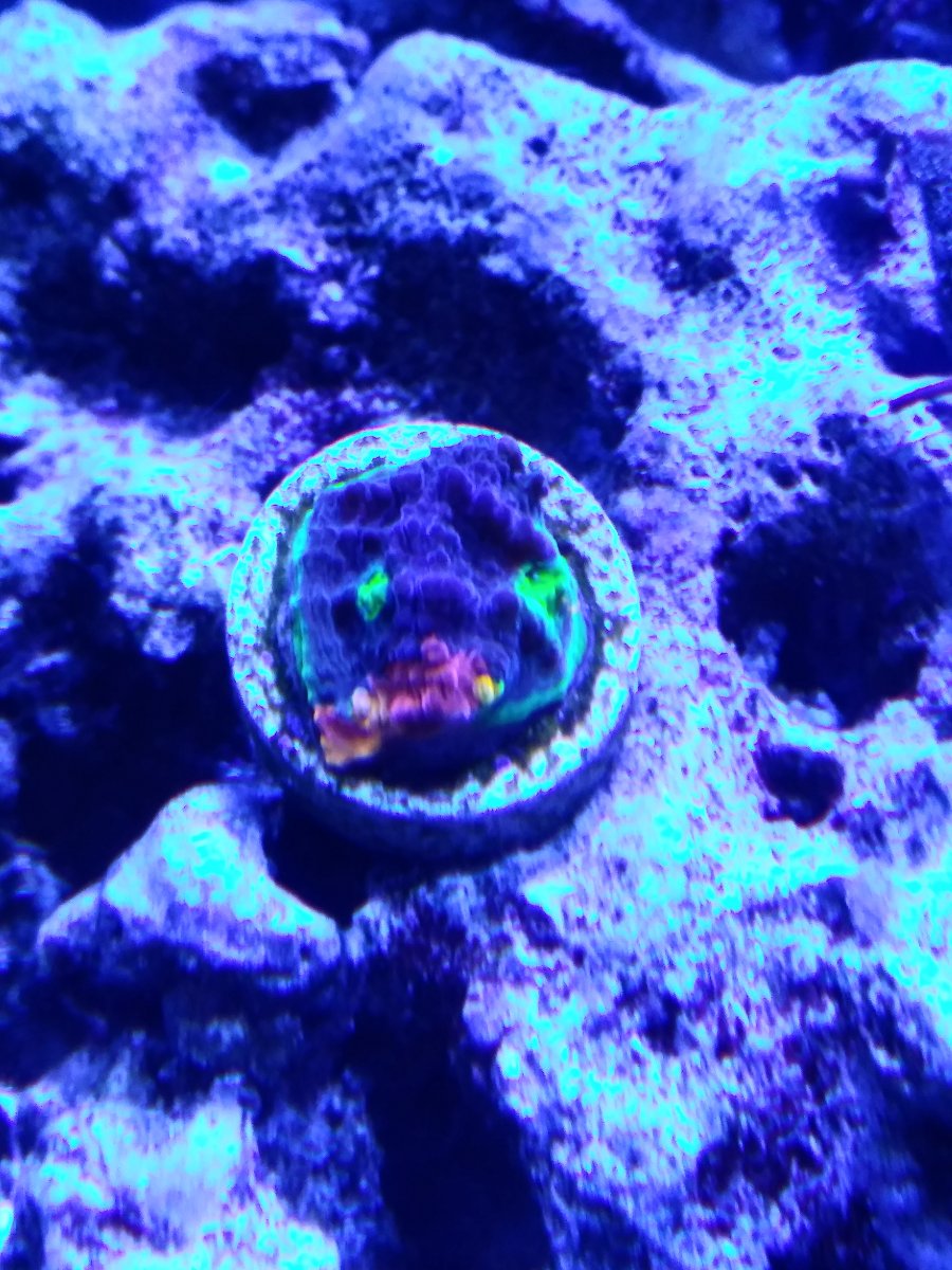 20201003_145331.jpg