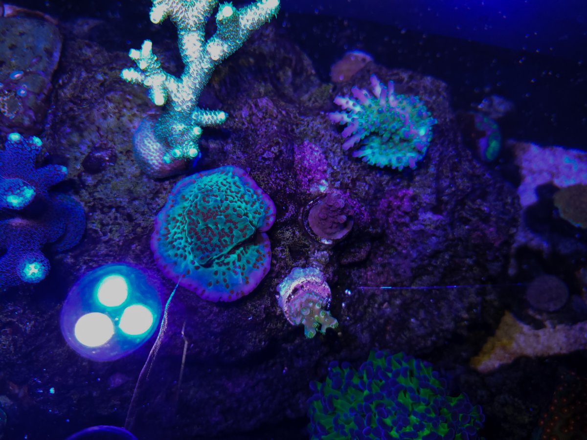 20201004_170154.jpg