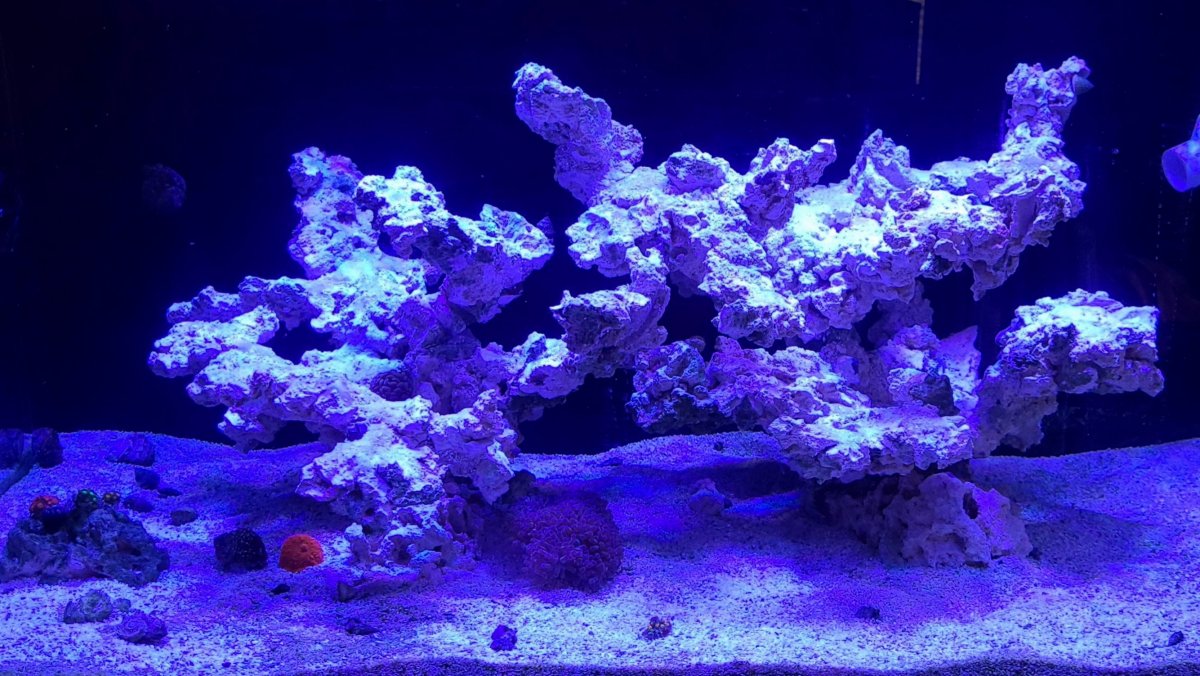 Build Thread - The Maelstrom 120 | Reef2Reef