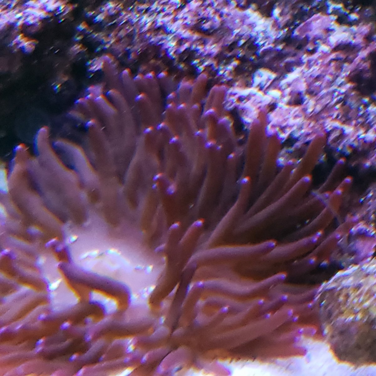 20201005_211544.jpg