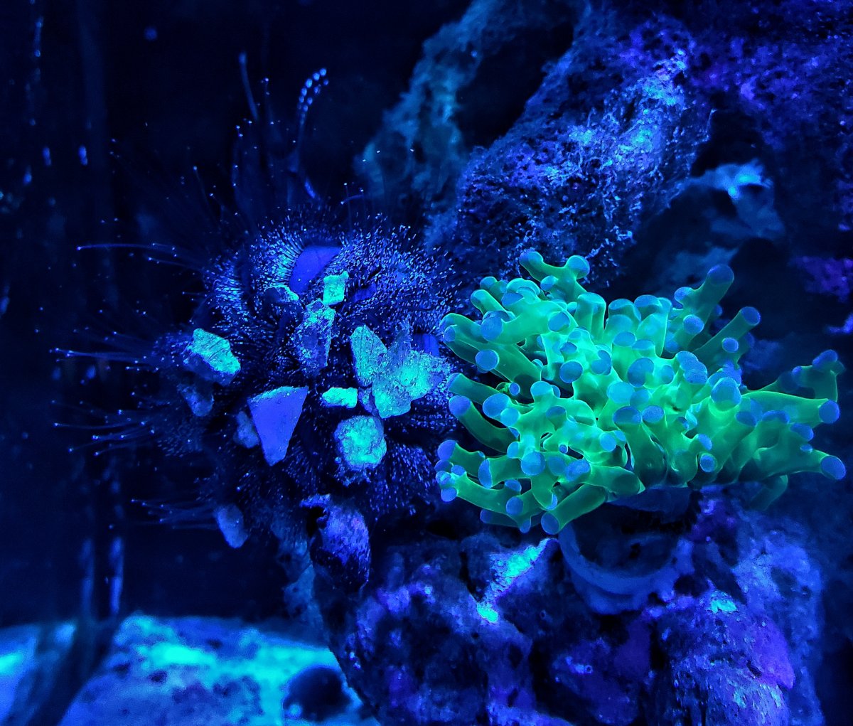 20201006_204455-01.jpeg