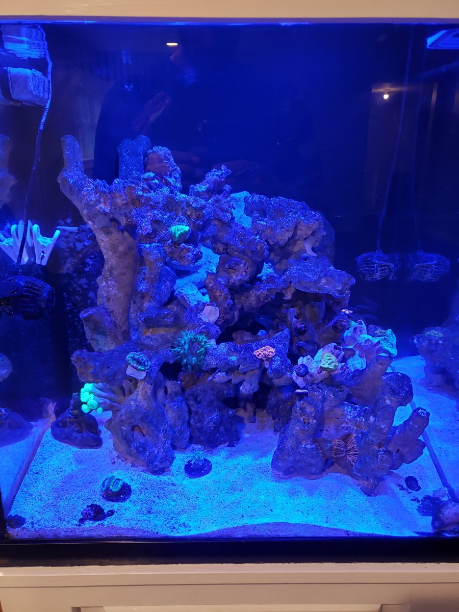 20201007_180144.jpg