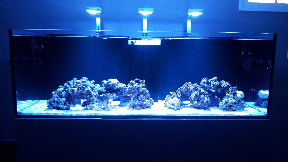 20201014_165942.jpg