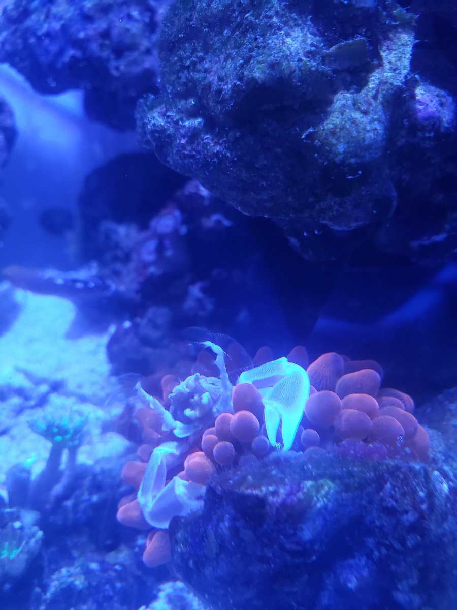 20201014_202645.jpg