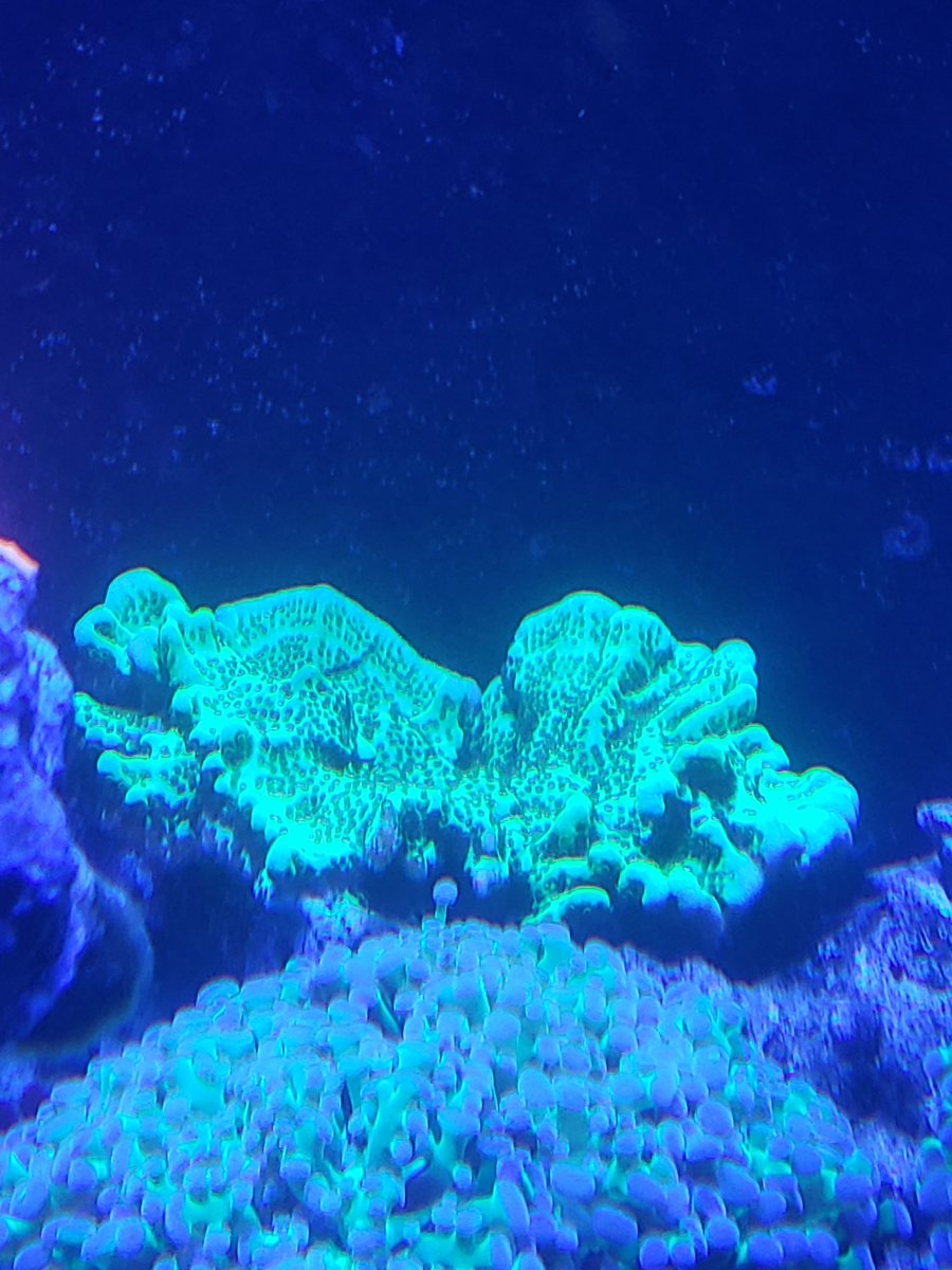 20201014_212714.jpg