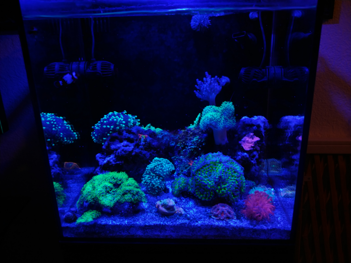 Nano Build Aquatop Recife Eco 24G AIO Mixed Reef2Reef