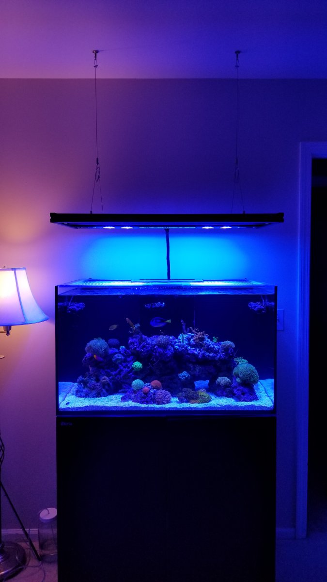 T5 aquarium lighting 36 inch deals