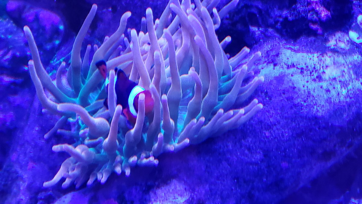 20201024_193641.jpg