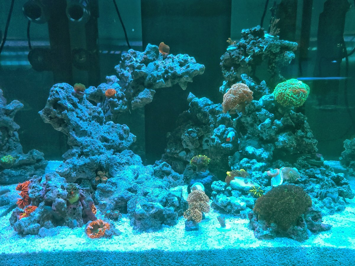 20201028_220250-01.jpeg