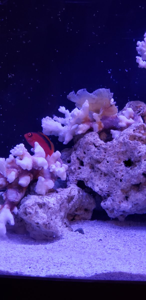 20201102_164727.jpg