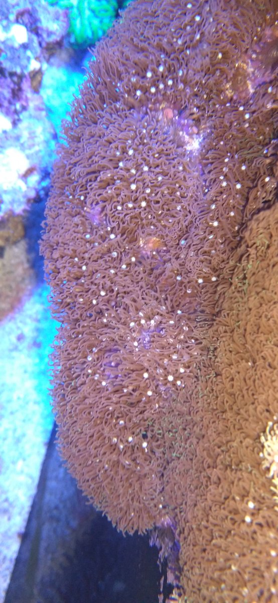 20201102_214525.jpg