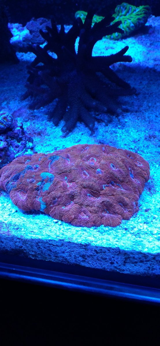 20201102_215546.jpg