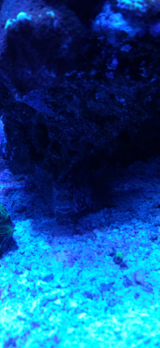 20201102_215751.jpg