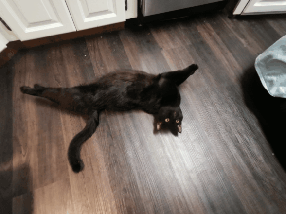 20201104_161345.gif
