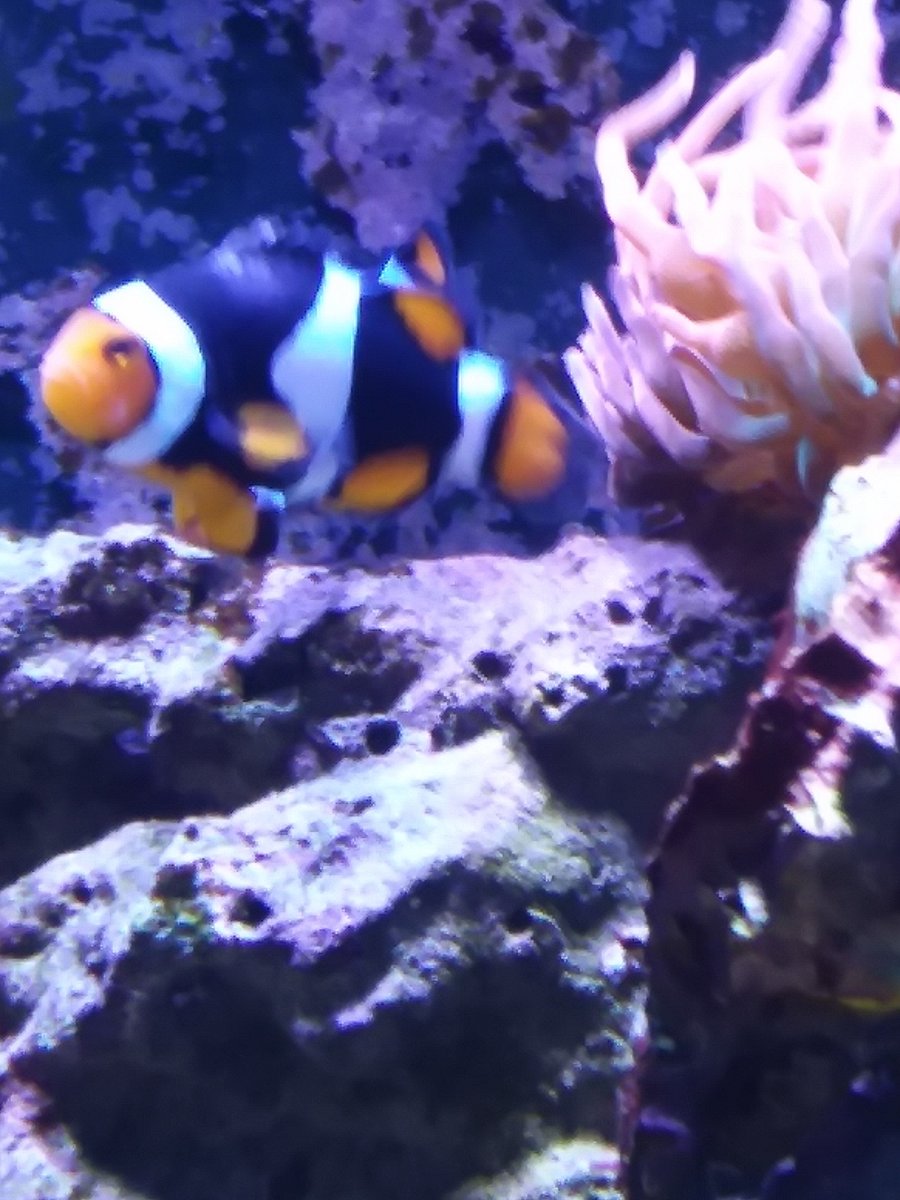 20201105_092830.jpg